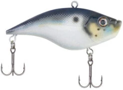 Berkley Warpig Lipless Crankbait -Rapala Store warpig blue back